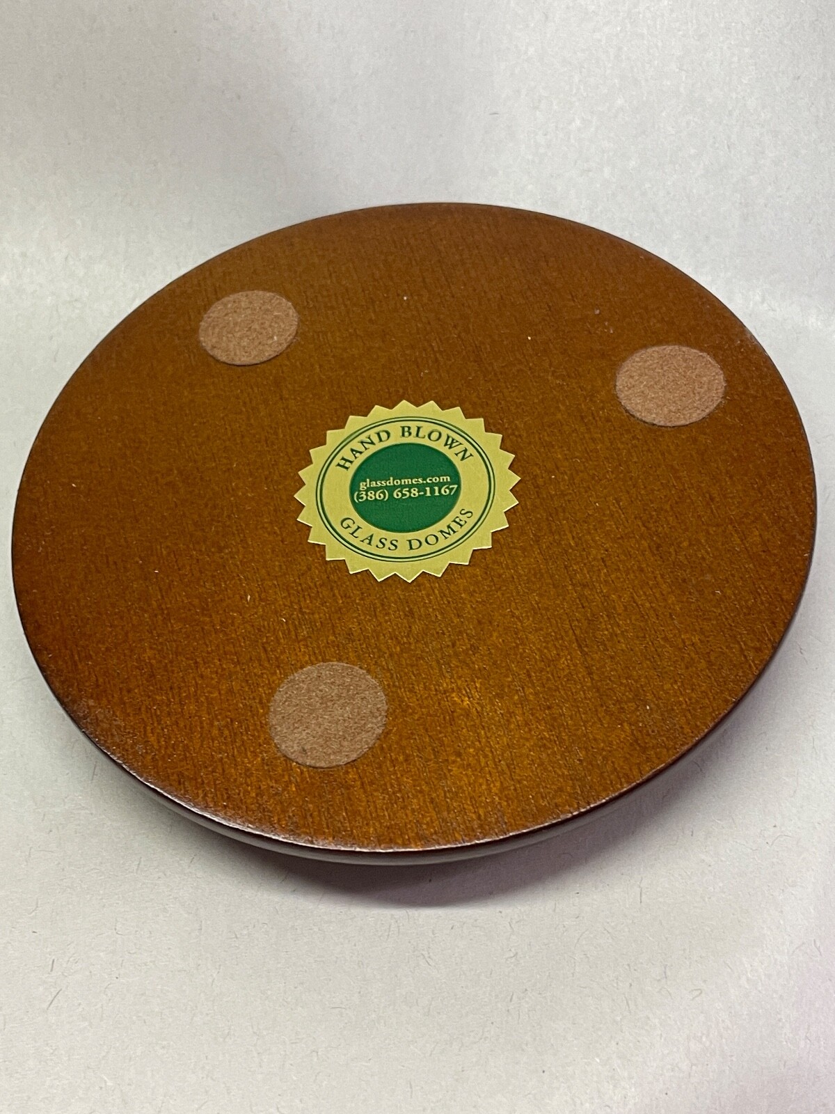 3″ x 4″ Glass Display Dome with Brass Knob, Walnut Finish Base, Free Ship NEW