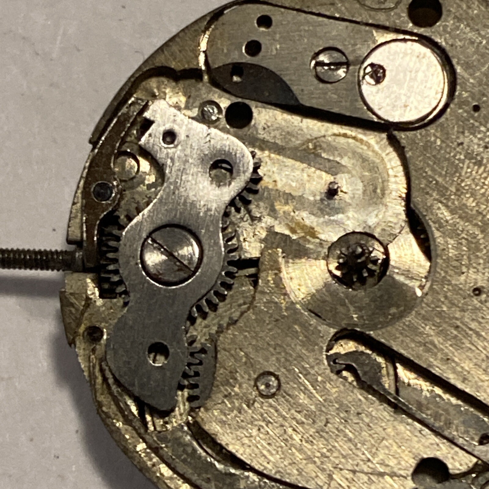 Relion Watch Co. Movement 1 Jewel AS 175 Or As 111 Cylinder Escapement