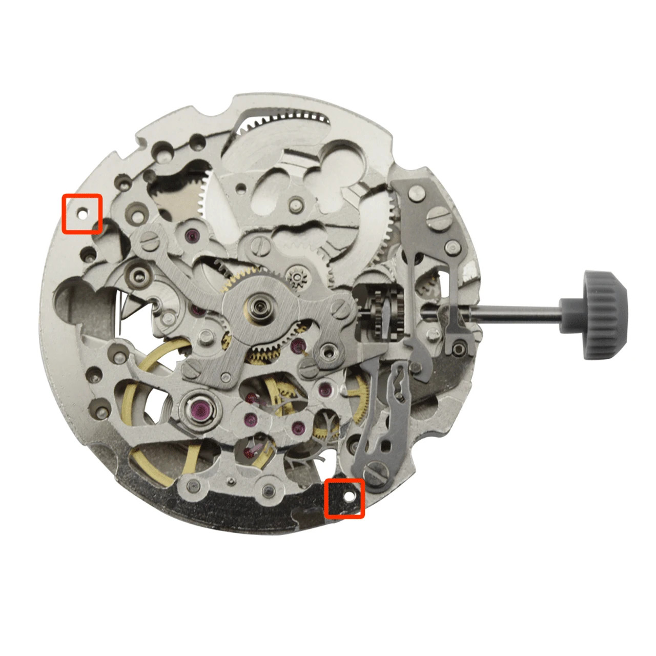 Miyota 8N24, 3 Hands, Skeleton Stainless Steel Japan Automatic Watch Movement