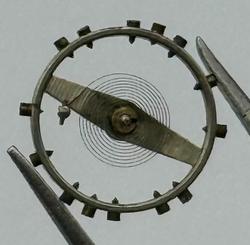 AS 984 Balance Wheel Complete And Spring 10½’’’ Renata 30 M Watch Movement Parts