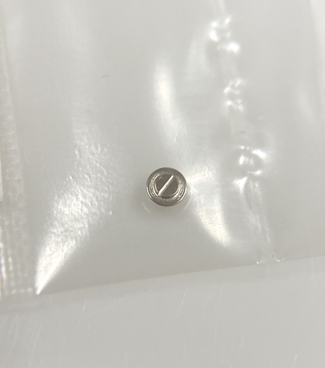 Genuine Rolex 1530-7897 Case Screw New Open Package (1 PCE)
