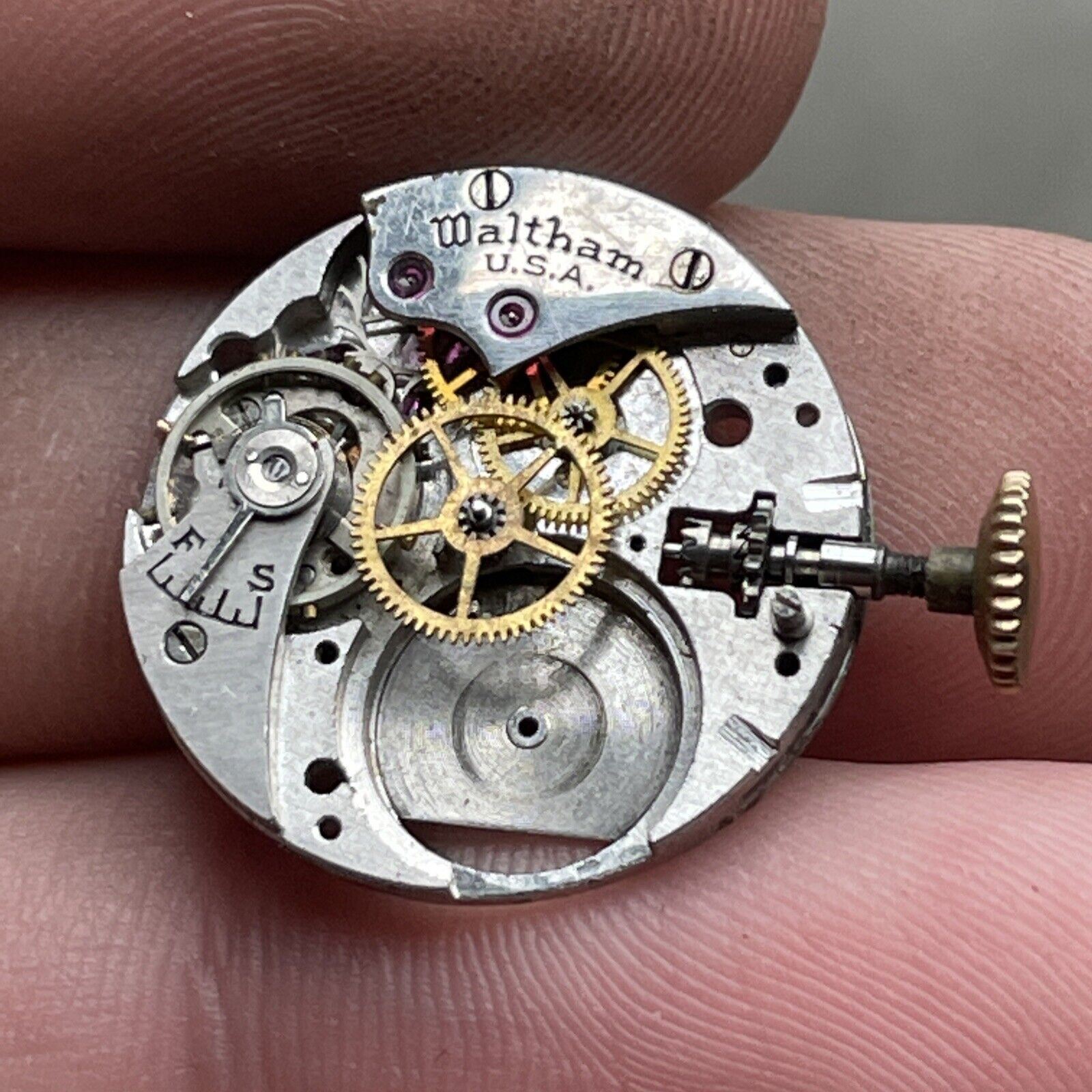 Vintage Waltham Watch Co. Movement.