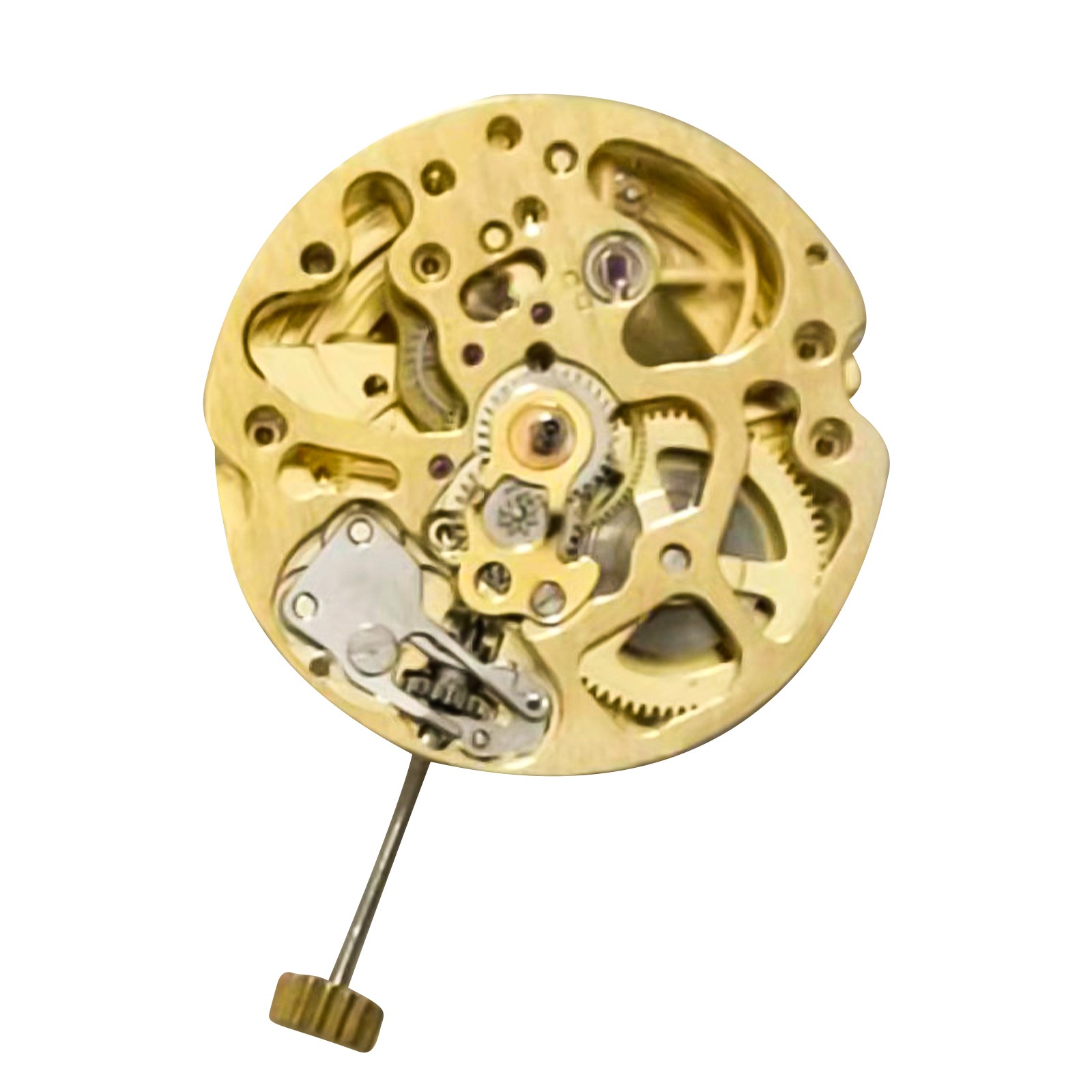 17 Jewels Gold Skeleton Automatic Watch Movement 2004 Parts Watchmaker Tool