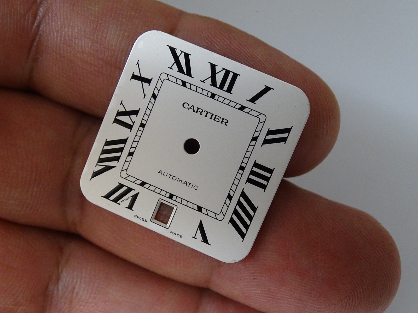 Cartier Santos 100 Dial Automatic Original WSSA0018