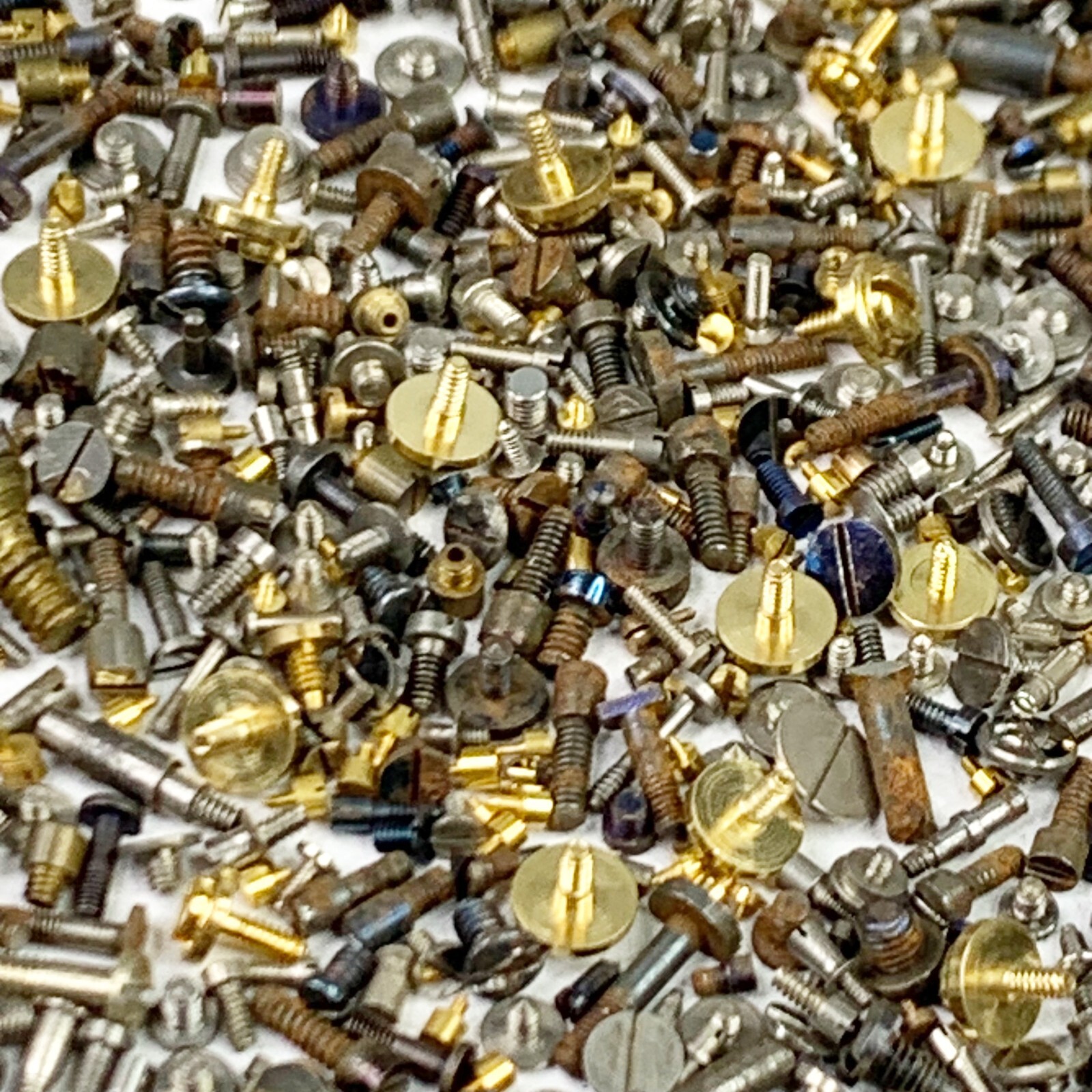 100 Watch Screws Pocket Wrist Silver Blue Gold Parts Watchmaker Repair Job Lot