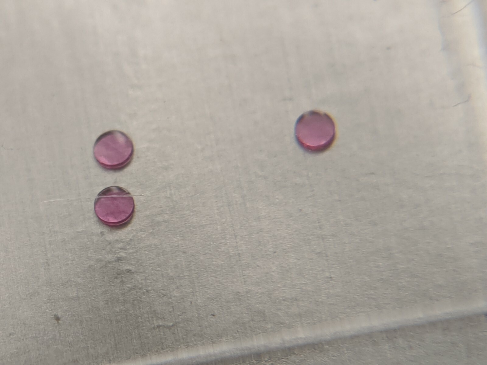 Rolex 1530 3035 3135 4030 4130 95019-3 Cap Jewel For Balance Upper, New Genuine