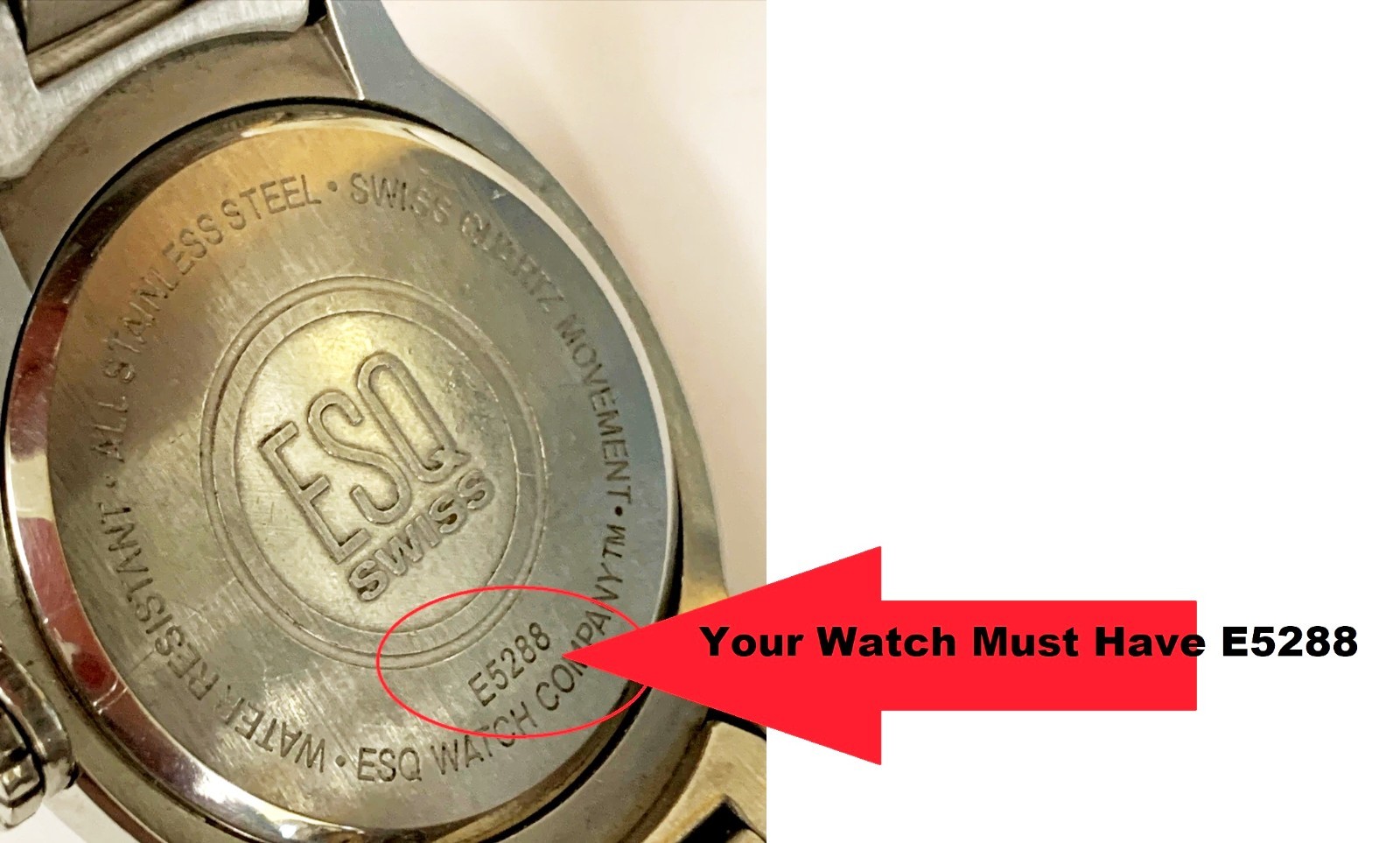ESQ Quest Mens Watch E5288 Sizing Link