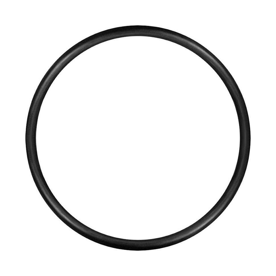 🔥(O-Ring) 702 Case Back Gasket # G799 For “BULOVA ACCUTRON” 218 DEEP SEA 666 !!