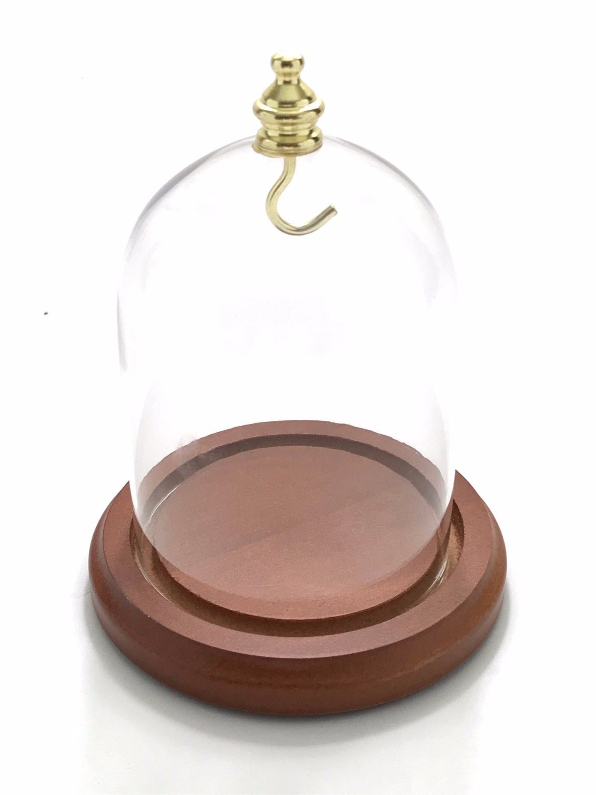 3″ x 4″ Glass Display Dome with Brass Knob, Walnut Finish Base, Free Ship NEW