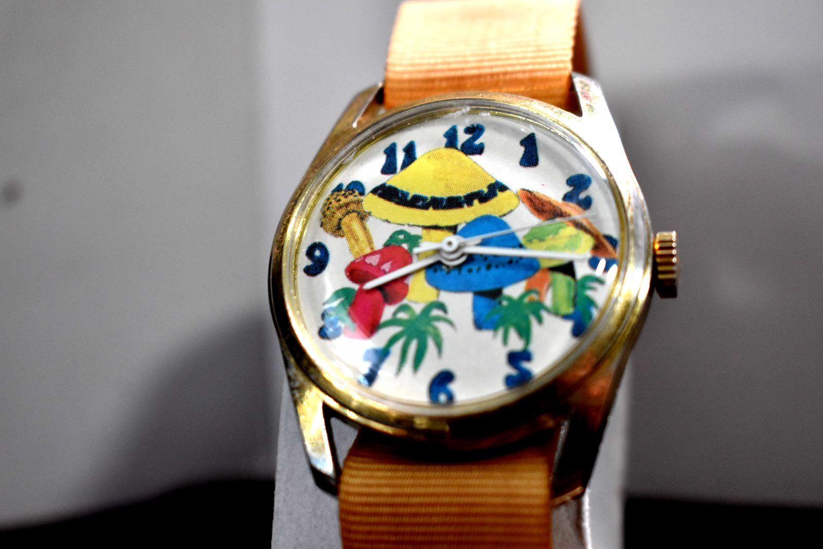VHTF Rare Rasis Swiss Made Mechanical Hand Wind Steel Watch Mushroom Dial Orig