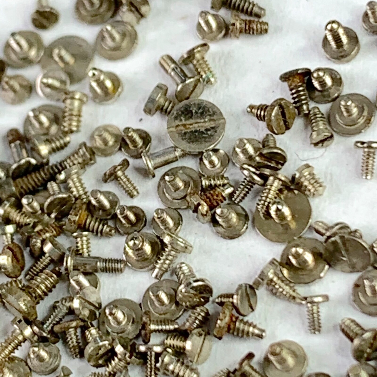 100 Watch Screws Tiny Steampunk Altered Art Parts Watchmaker Lot Repair Wrist