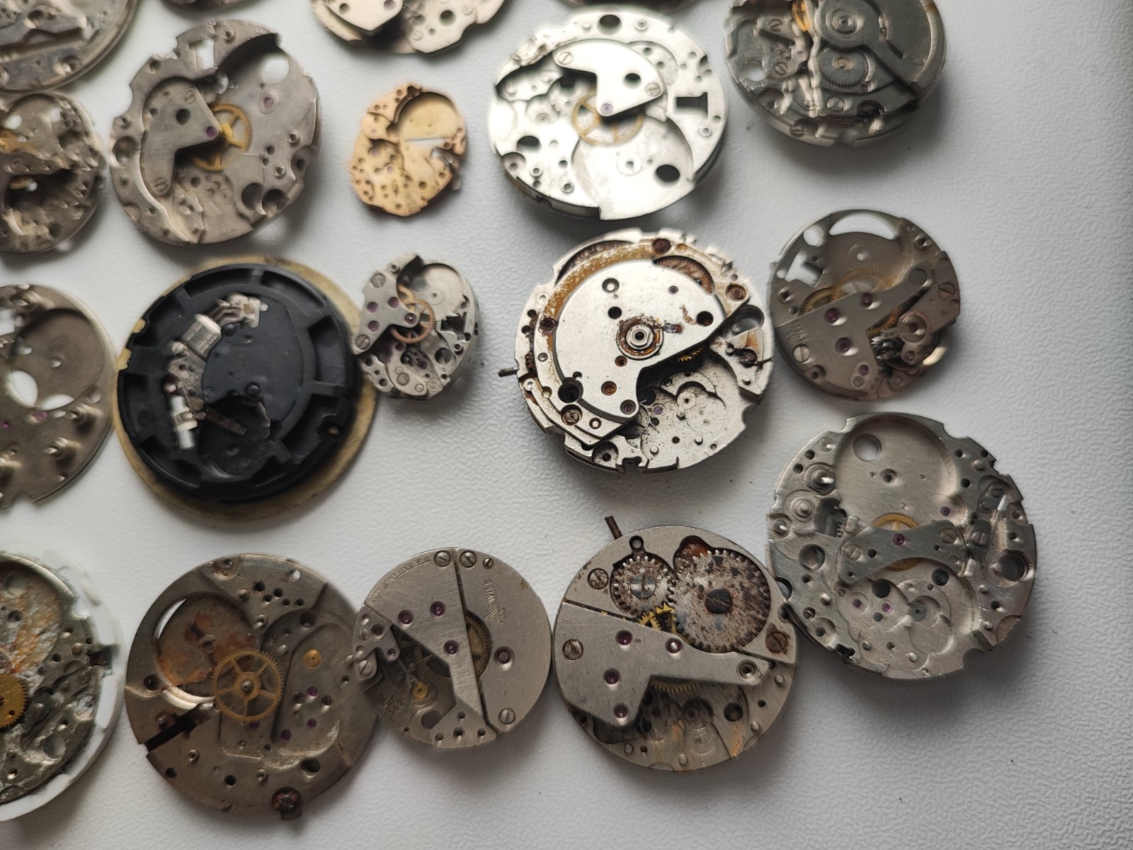 mix Watch Main Plate platinum lot as fe jej bfg fhf eta ronda amida dursa others