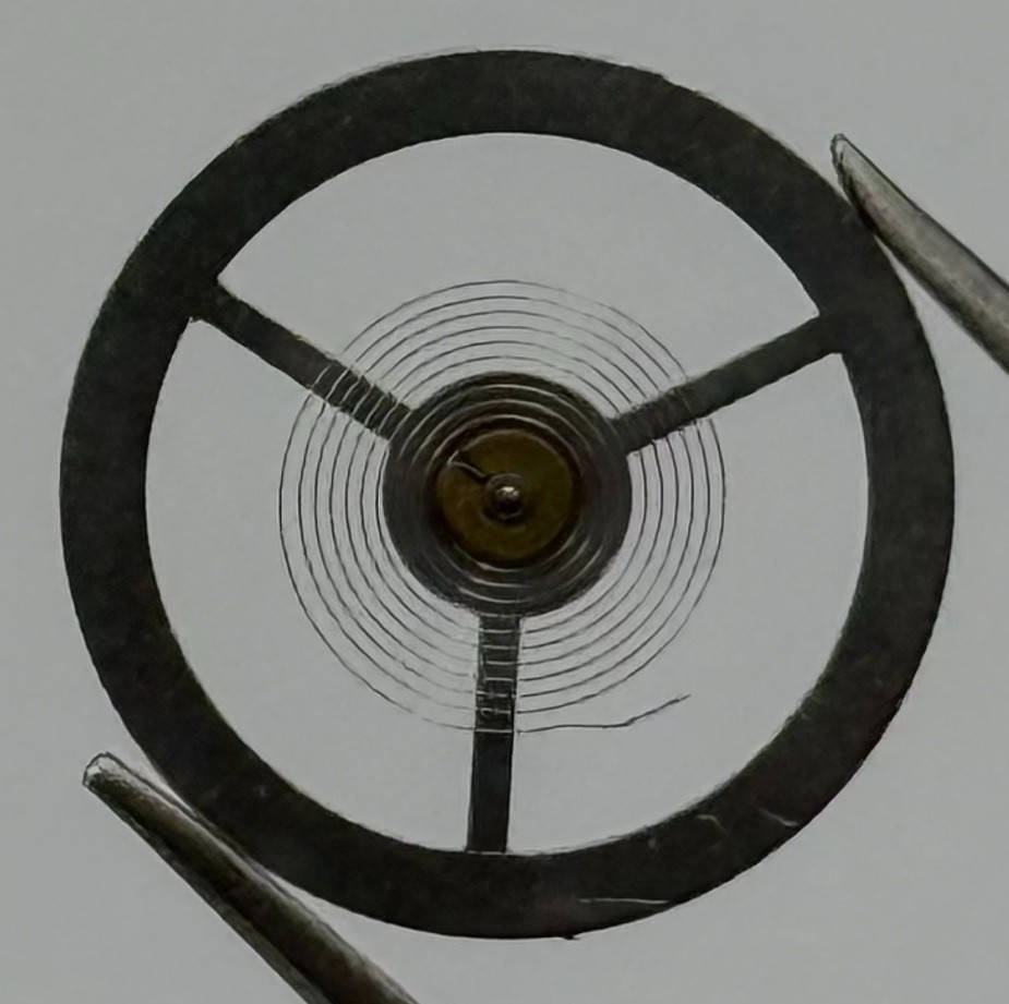 EB 8800 Balance Wheel Complete And Spring 12’’’ 1309 Watch Movement Parts NOS