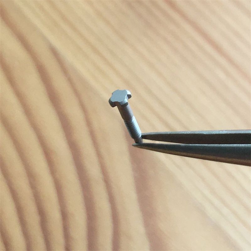 Replacement 4 Prongs Watch Band Screw Fits Richard Mille Diver RM011