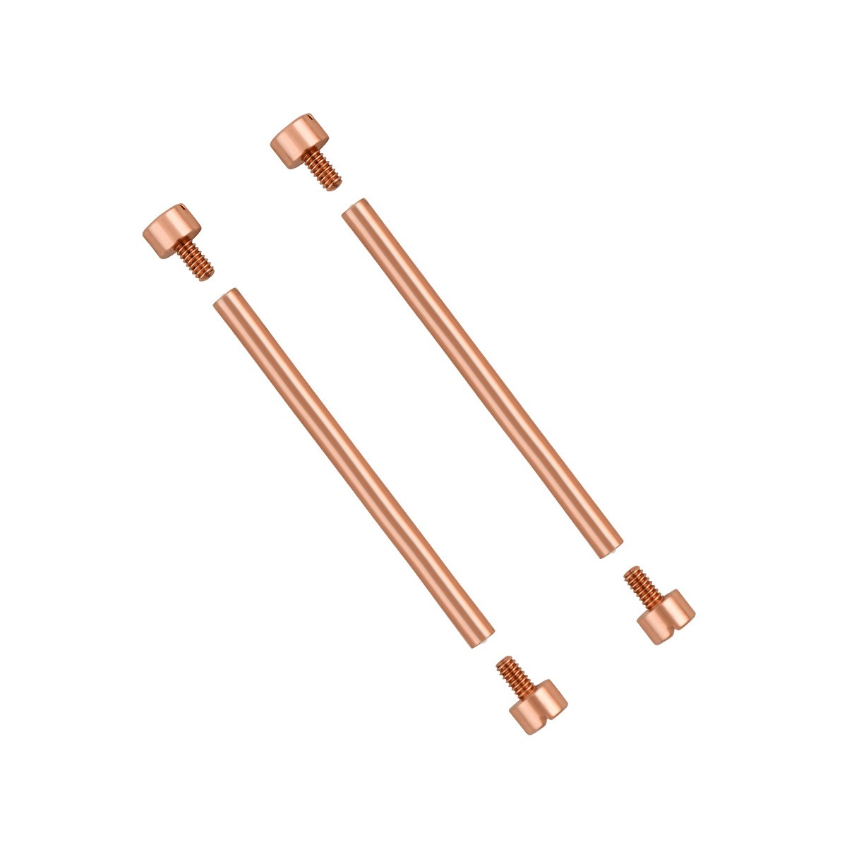 2 + 4 SCREW & TUBE (PINS) IN 27MM WATCH STRAP ROSE GOLD
