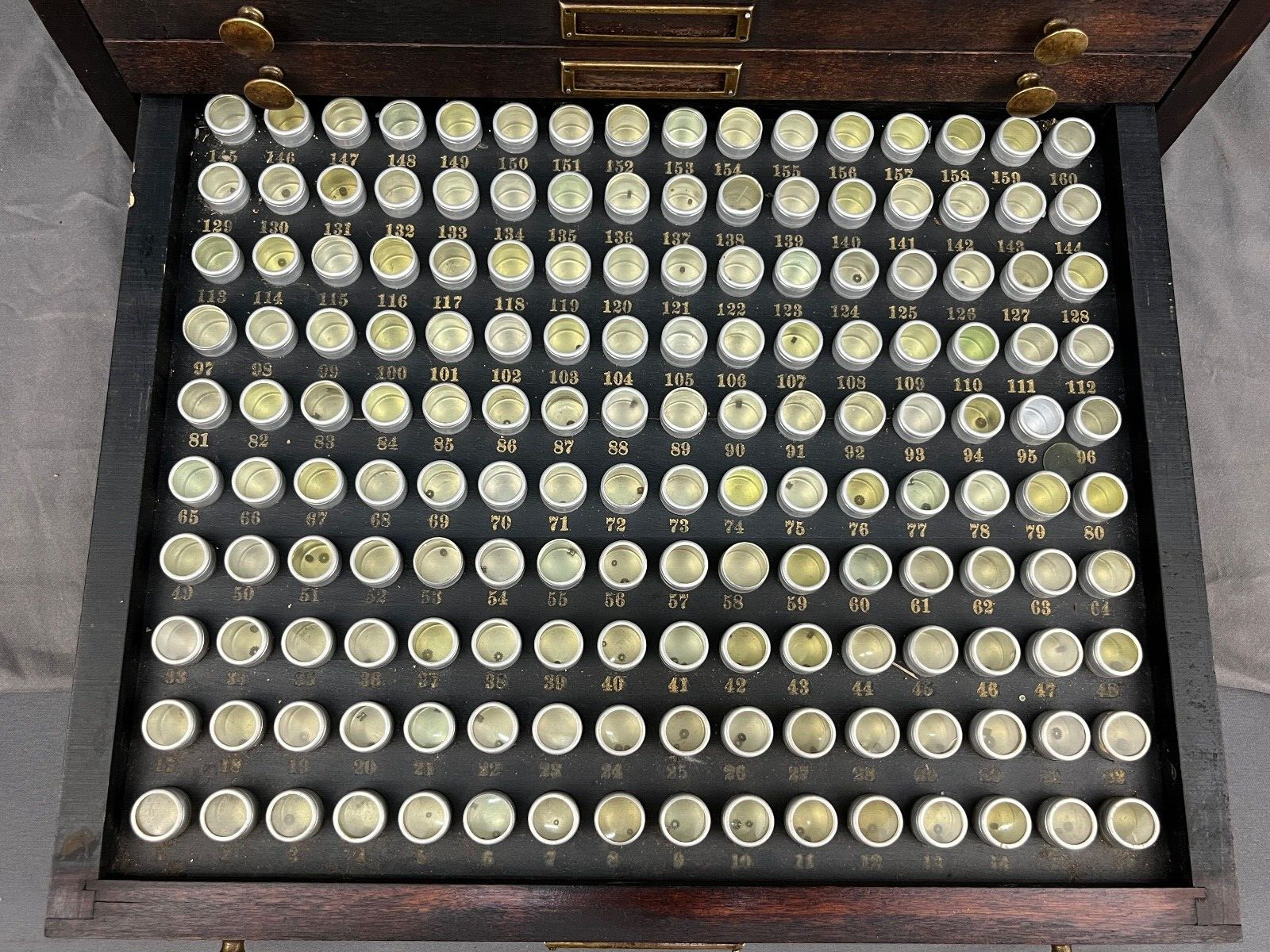 Antique Marco Table Top Mahogony Watch Case 10 Drawers and 1600 Slots + Parts