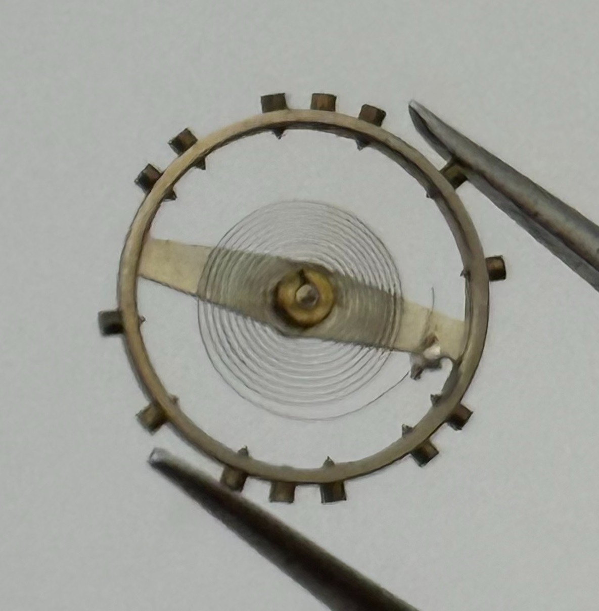 Arogno 120 Balance Wheel Complete And Spring 14 M Watch Movement Parts NOS