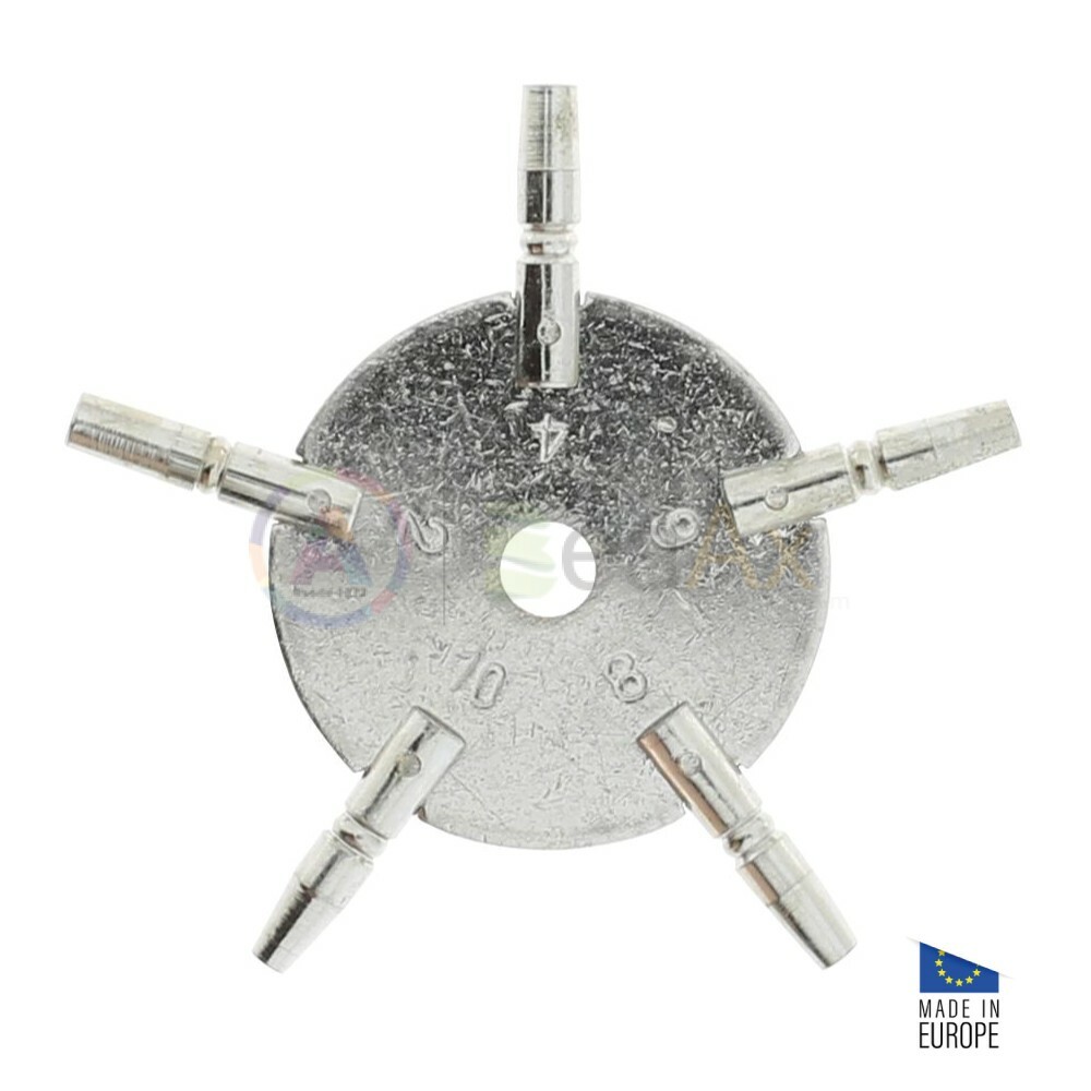 Chiave di carica per orologi da tasca in metallo 5 misure pari 2, 4, 6, 8 e 10