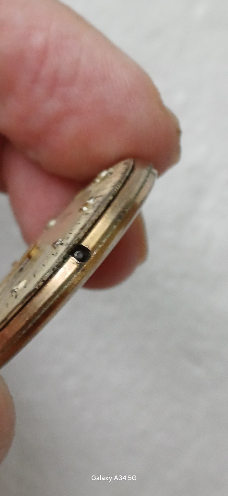 Verbena Working Manual Winding Movement Watch 34mm