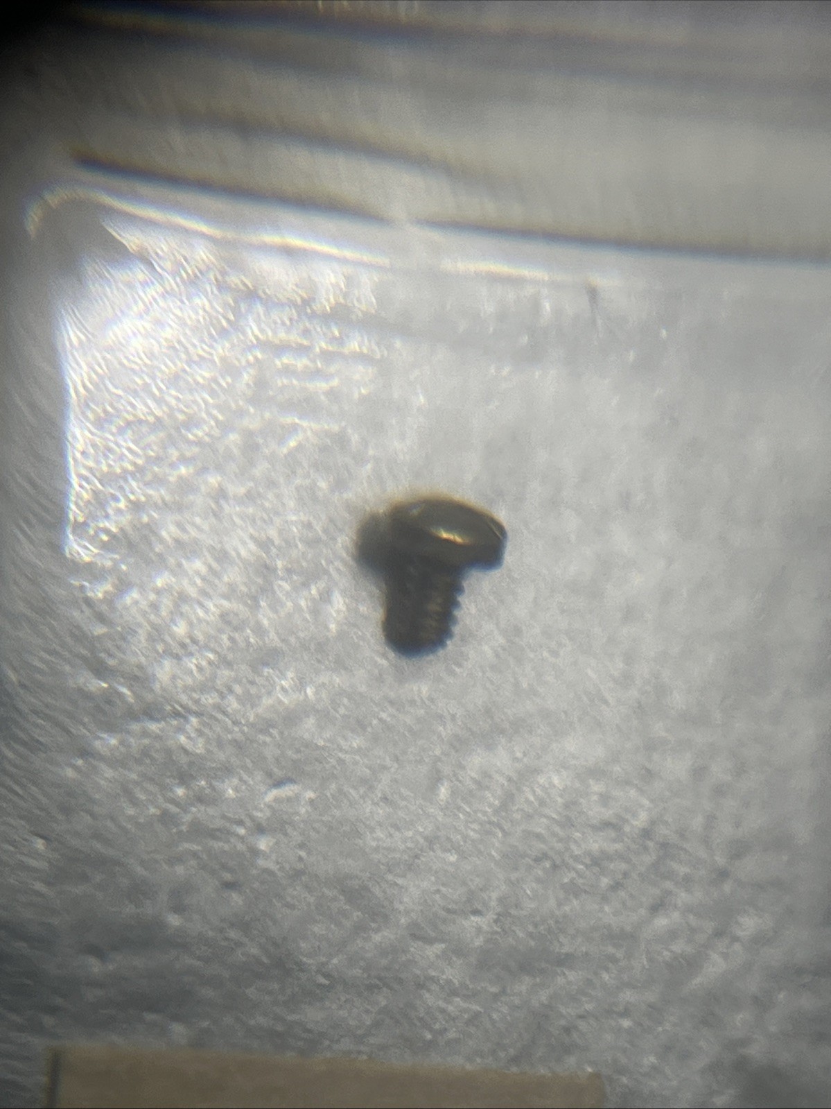 New Genuine Ebel 881908 Part 447 18k Gold Screw For Bezel (Pack Of 5)
