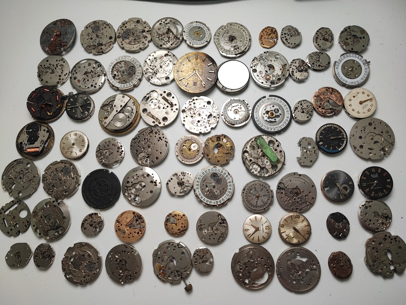 mix Watch Main Plate platinum lot watchmaker ut cattin as fef fhf eb jej other