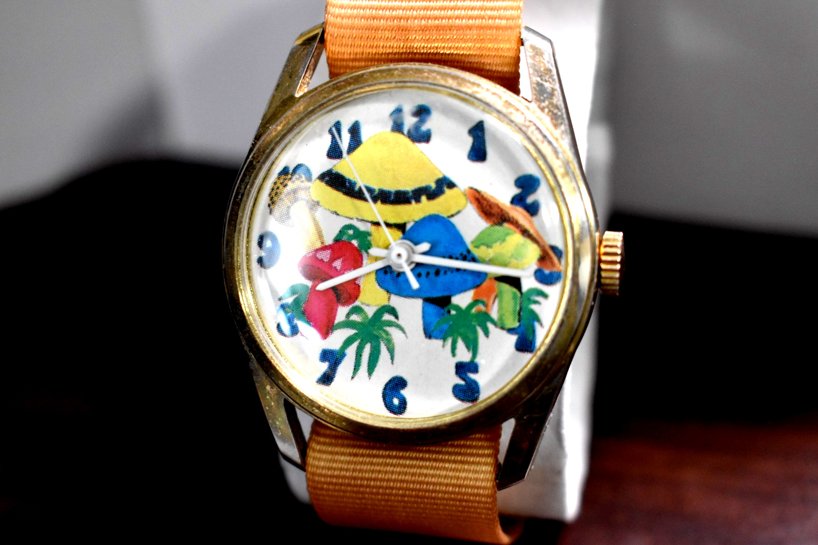 VHTF Rare Rasis Swiss Made Mechanical Hand Wind Steel Watch Mushroom Dial Orig