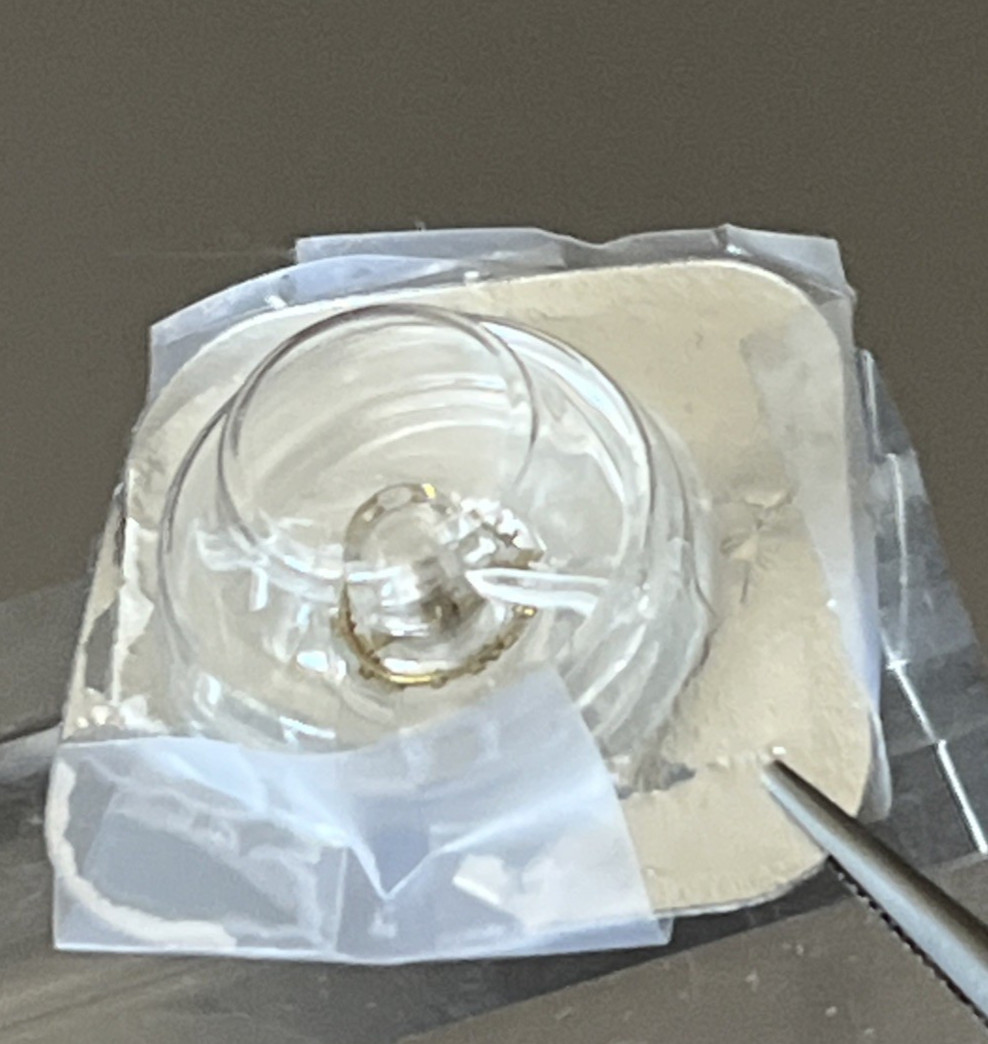 Bulova Watch Part Balance Wheel 54 Group 3 cal 5 AH Genuine Opened Packet Unused