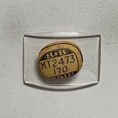 ELGIN : 5507 – Tonneau 24.7mm x 17.0mm