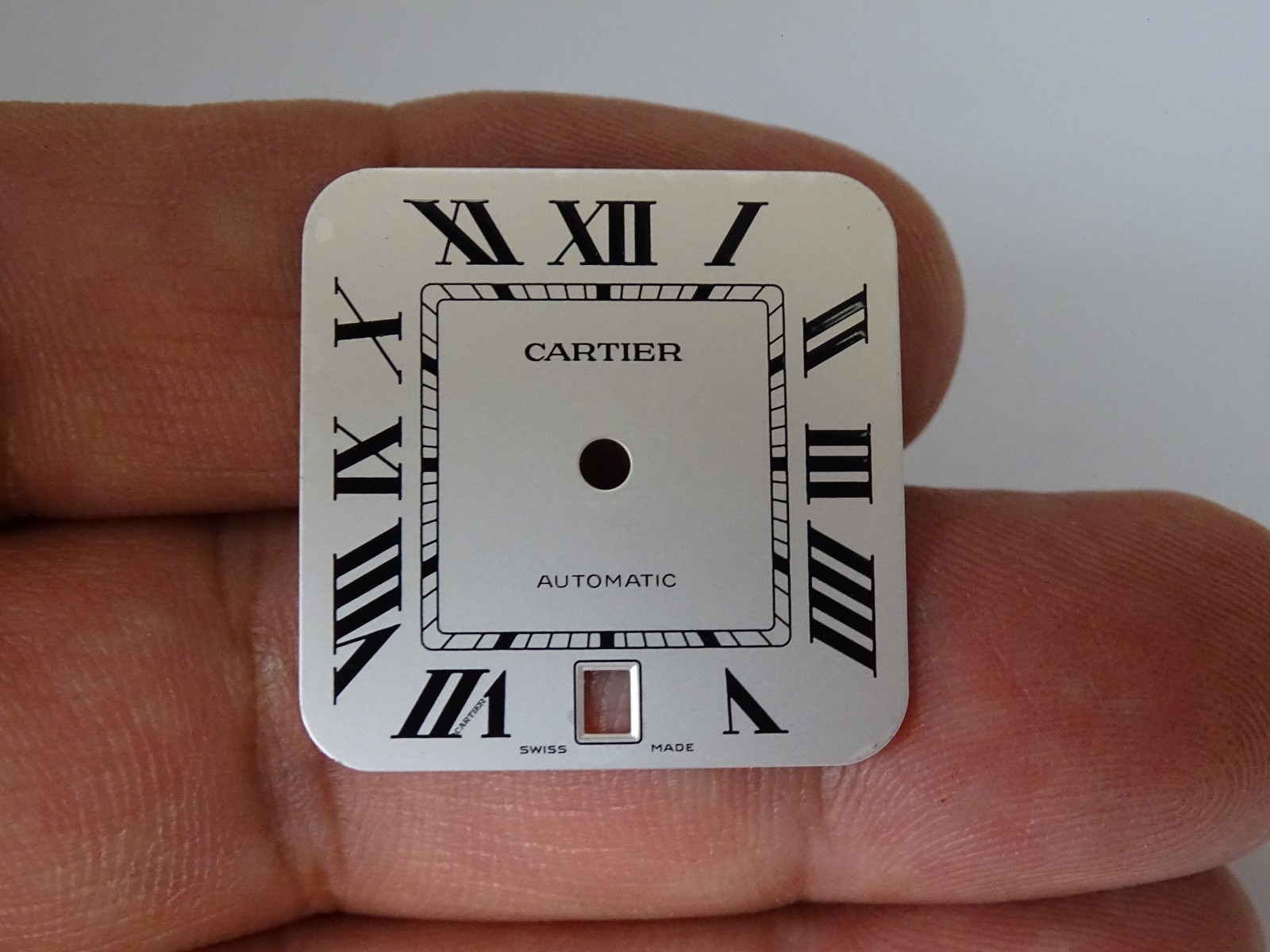 Cartier Santos 100 Dial Automatic Original WSSA0018