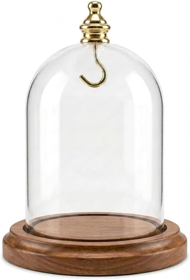 3″X4″ Pocket Watch Glass Display Dome Cloche Real Walnut Wood Base & Gold Brass