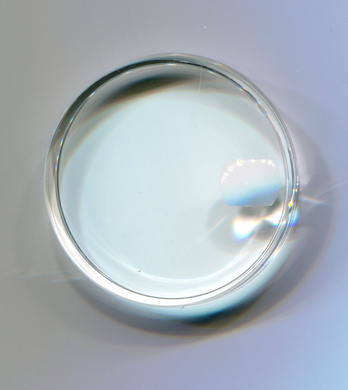 Crystal Ref. # 25-144 144 for Rolex New “CLARK”