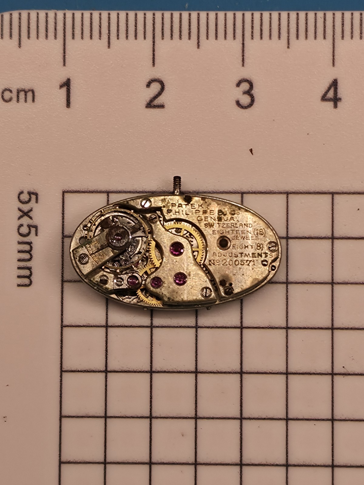 Rare Vintage Patek Philippe & Co. Oval Watch Movement – 18 Jewels, 8 Adjustments