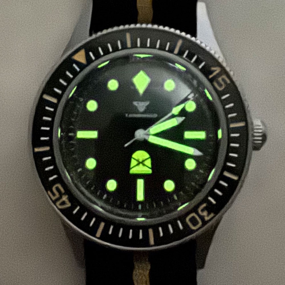 Tandorio New NH35A Automatic Men Watch Luminousn Sapphire Glass 200m Waterproof