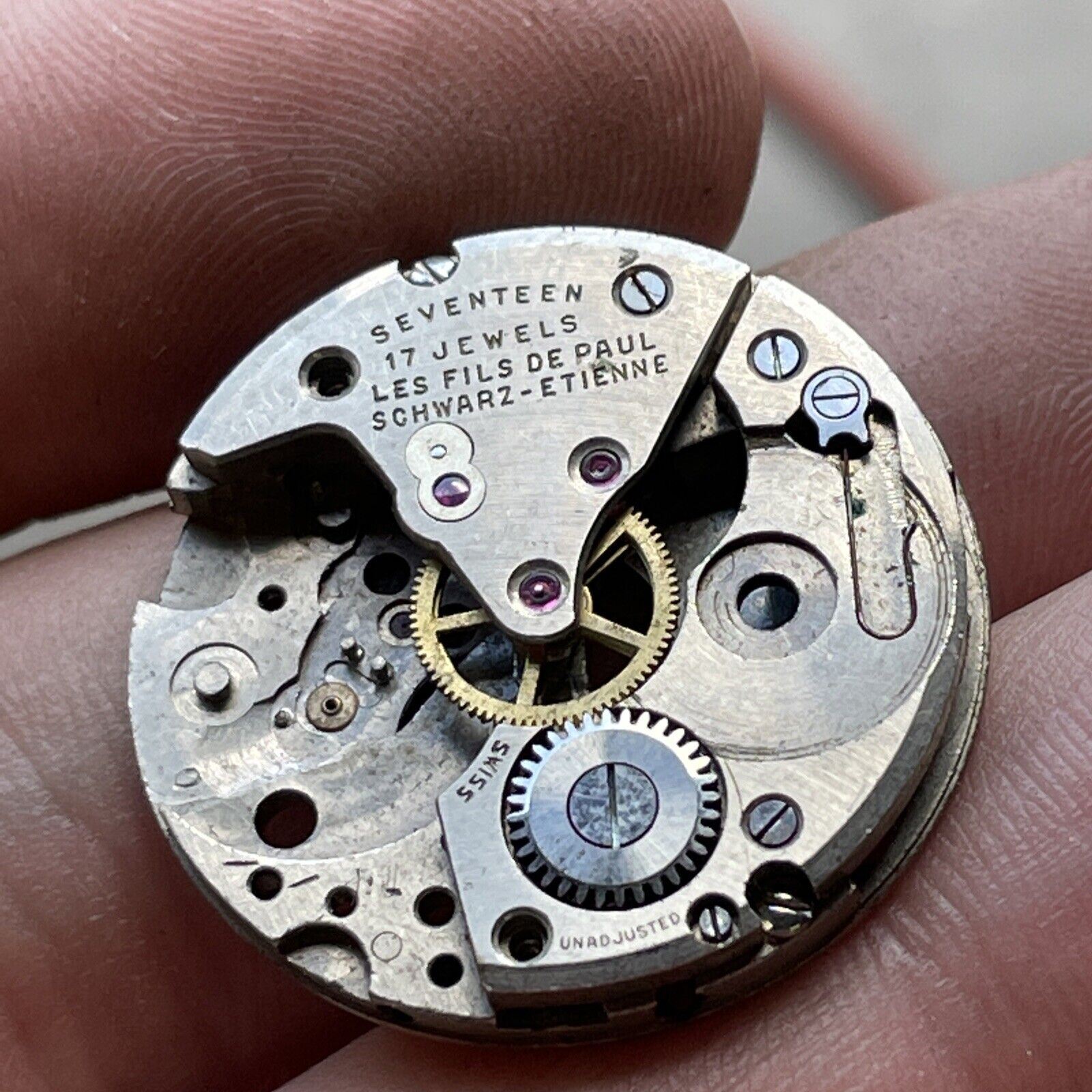 Vintage Schwarz-Etienne Seventeen Jewel Unadjusted Movement