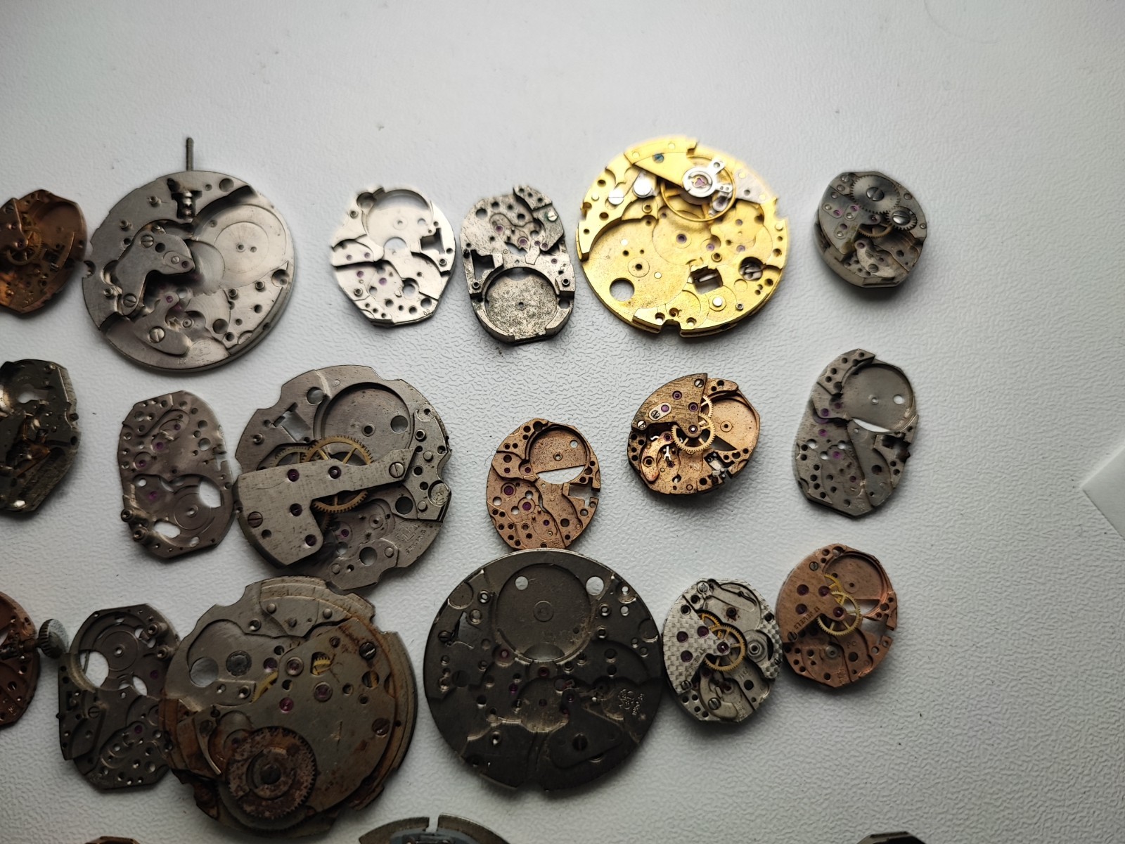 mix Watch Main Plate lot watchmaker fef fhf as eb fe others