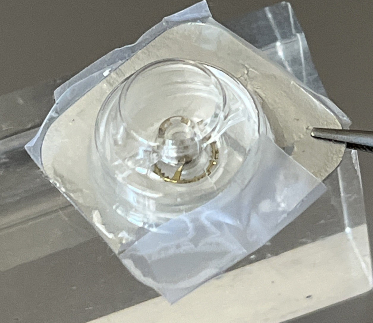 Bulova Watch Part Balance Wheel 54 Group 3 cal 5 AH Genuine Opened Packet Unused