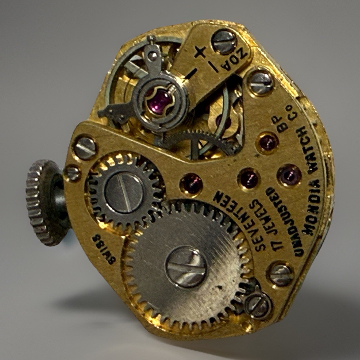 ✨🕰️ Duval 17 Jewel Swiss Mondia Movement – Project
