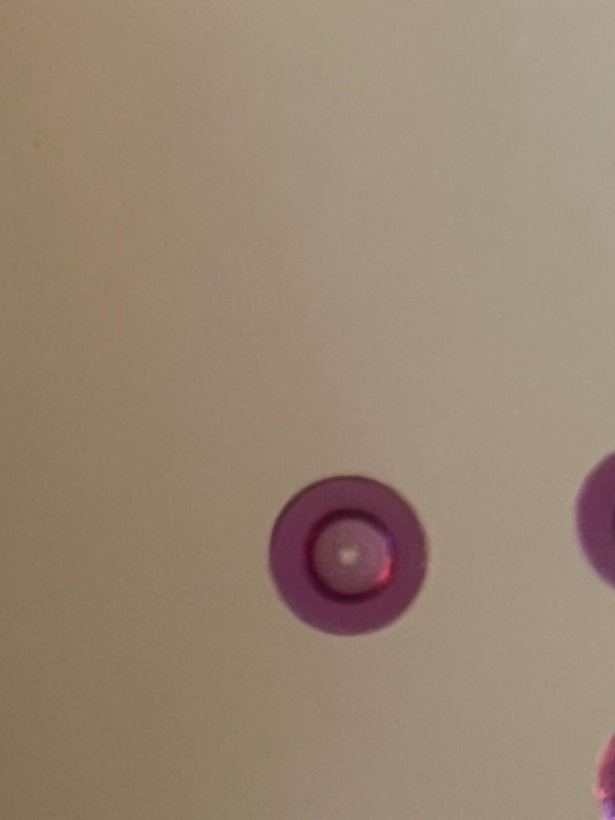 BALANCE HOLE JEWELS RUBY Hole 8, OD 90, 12 Pieces
