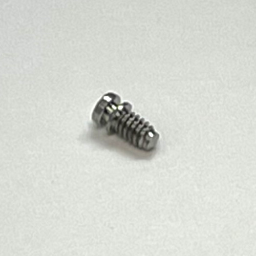 OEM PANERAI Lug Screw for Radiomir 42mm Steel (OP66xx) or 45mm Steel MX002TT8