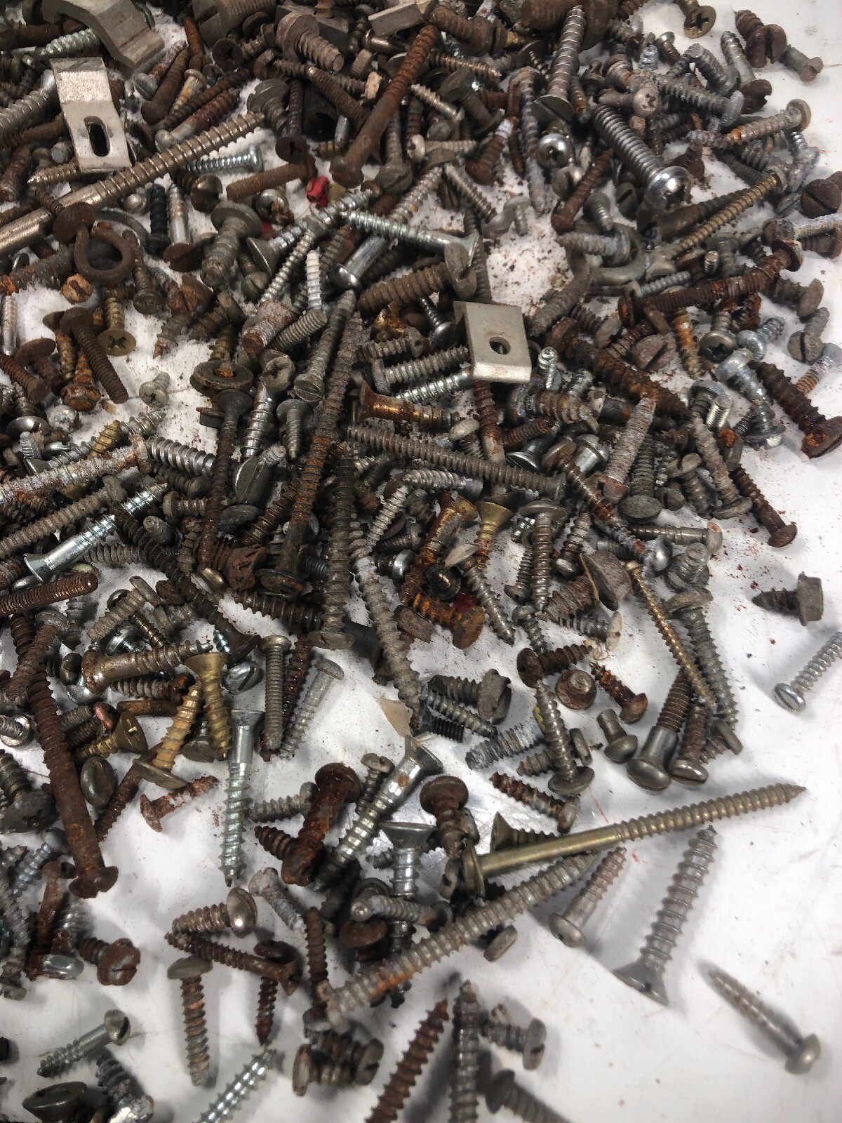 5+ Lbs ANTIQUE AND VINTAGE SCREWS, Fasteners Philips Flat Blade Rustic