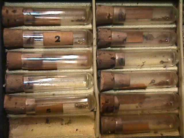 MARATHON HAND ASSORTMENT 249 BOX+Some CONTENTS Leaf Pattern MEYER BECK,NY *box 8