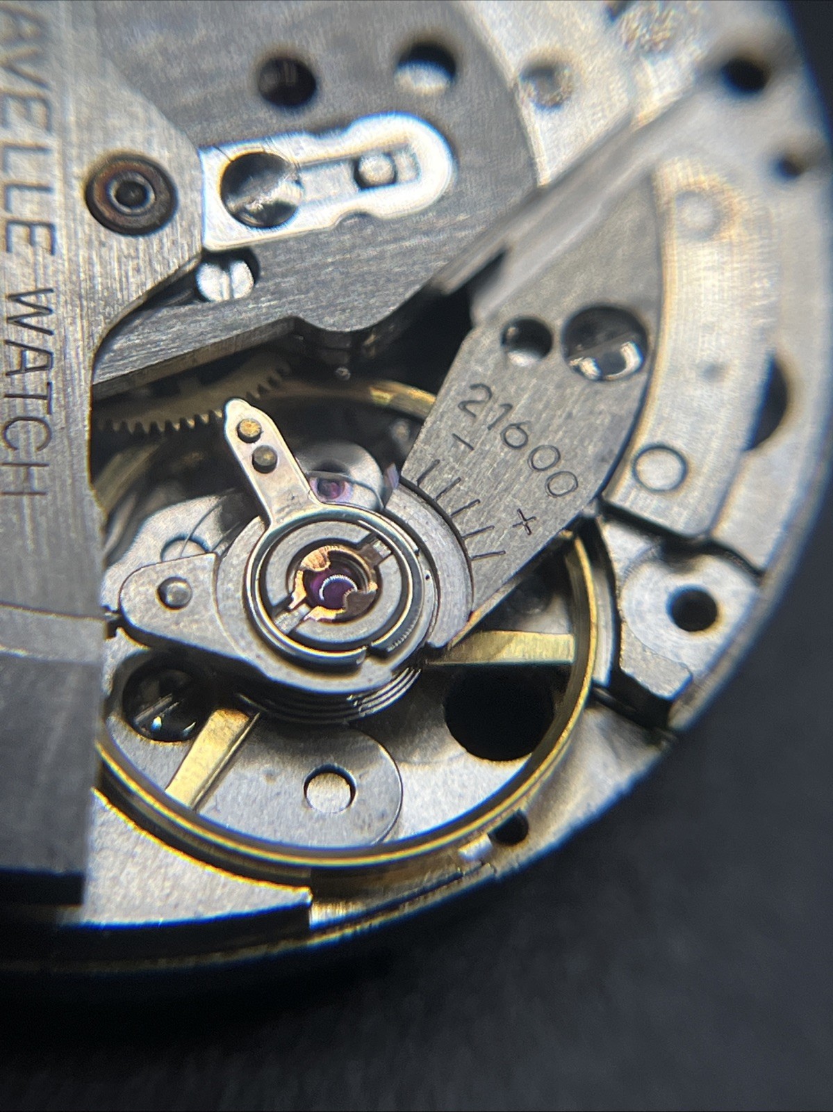 Carvavelle Cal. 11OWACD Movemwnt With 666 Devil Diver Dial (015)