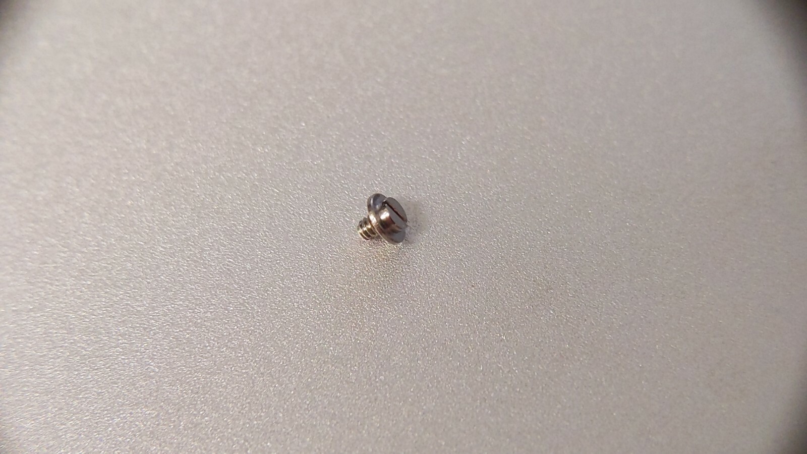 New original Rolex 1530 7897 screw for Case, Head raised and Flat see photos