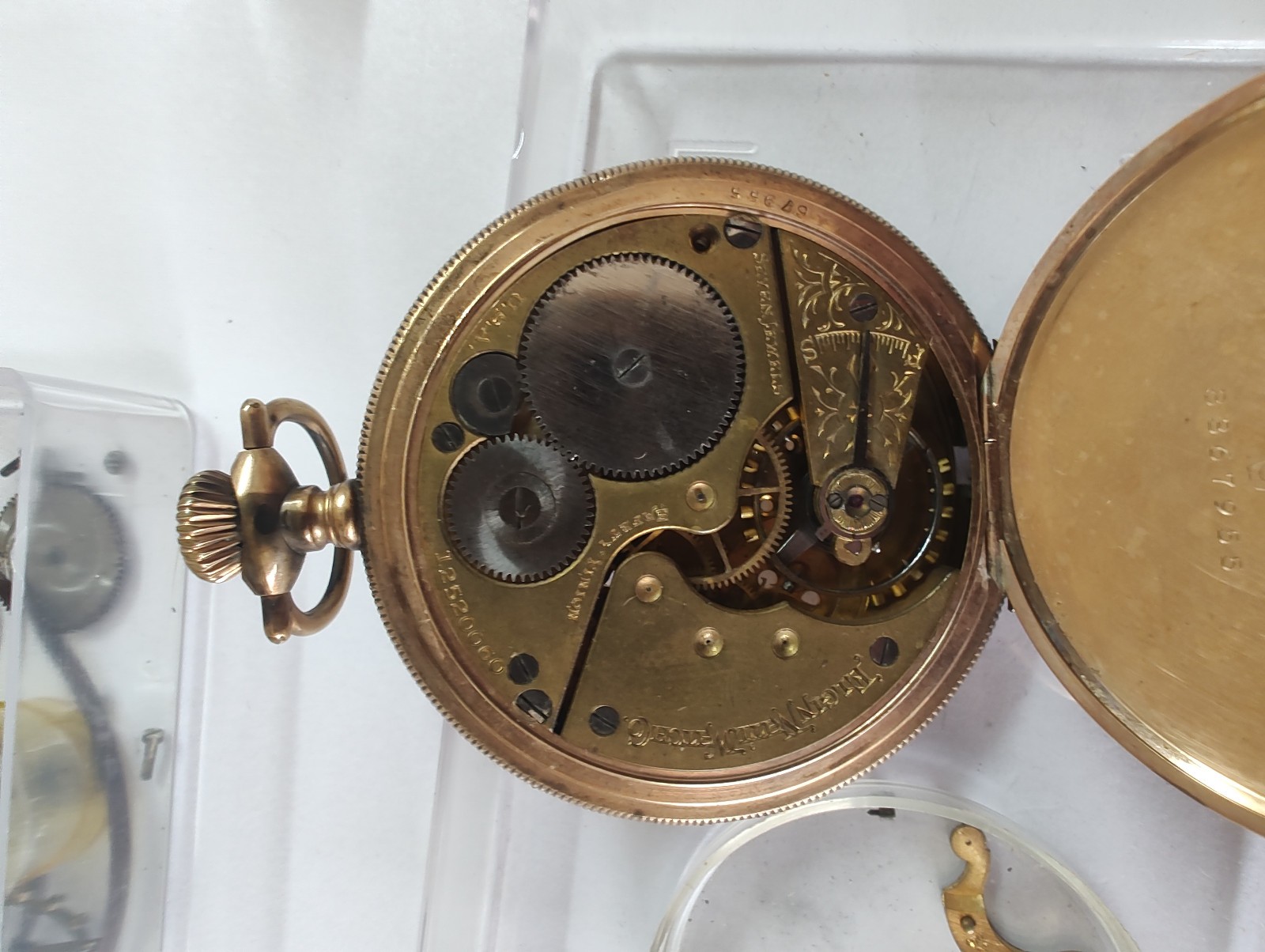 Elite Elgin National Watch Co. Archive: 1900s Movements, Fancy Enamel Dials !!