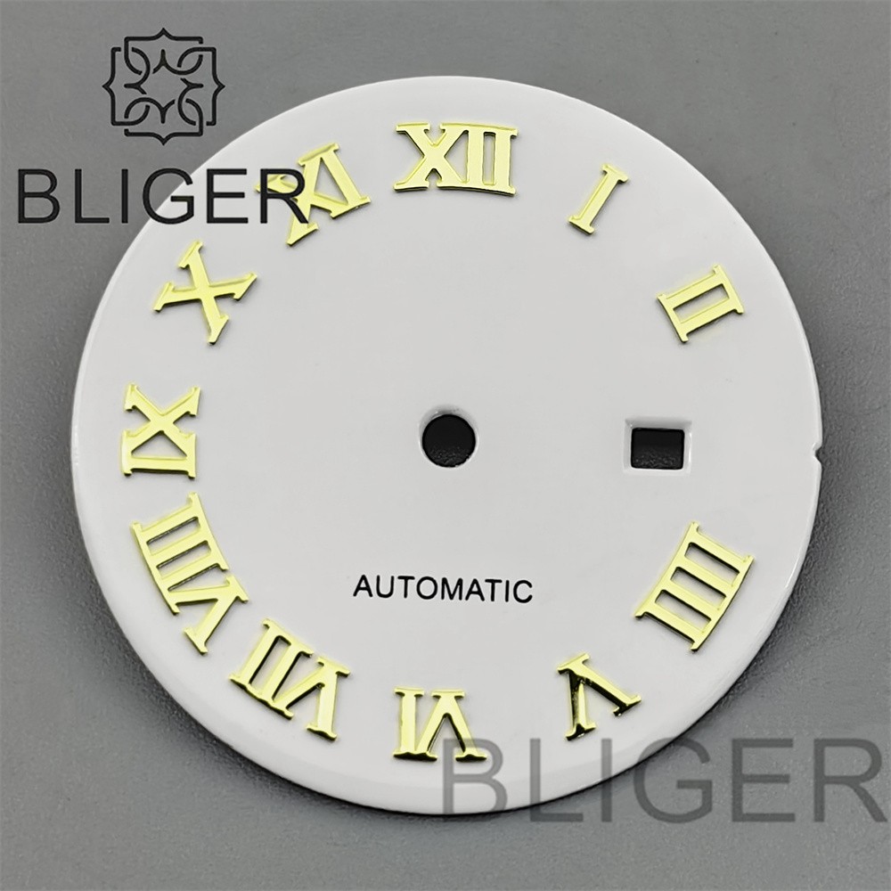 24.5mm Roman Numerals Sun Pattern Watch Dial Date Fit NH05 06 Movement