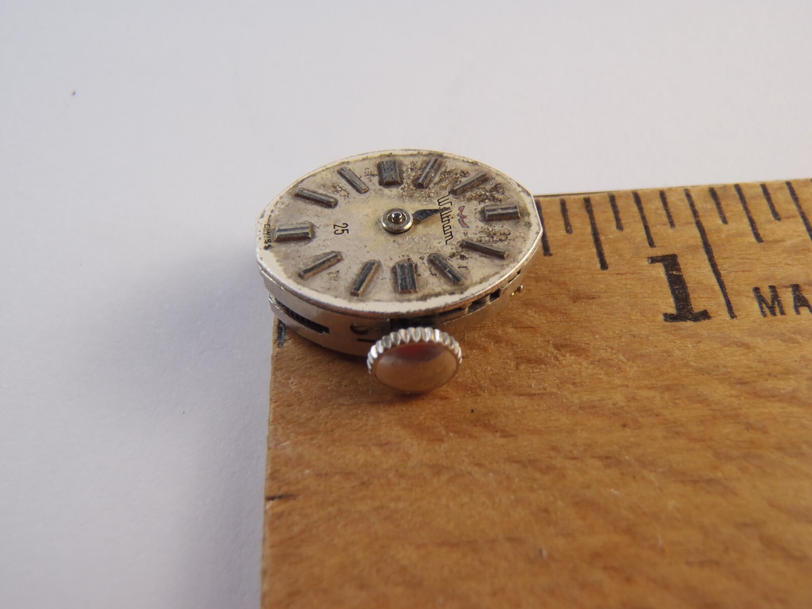 WALTHAM 25 Jewel Manual Winding Movement Running