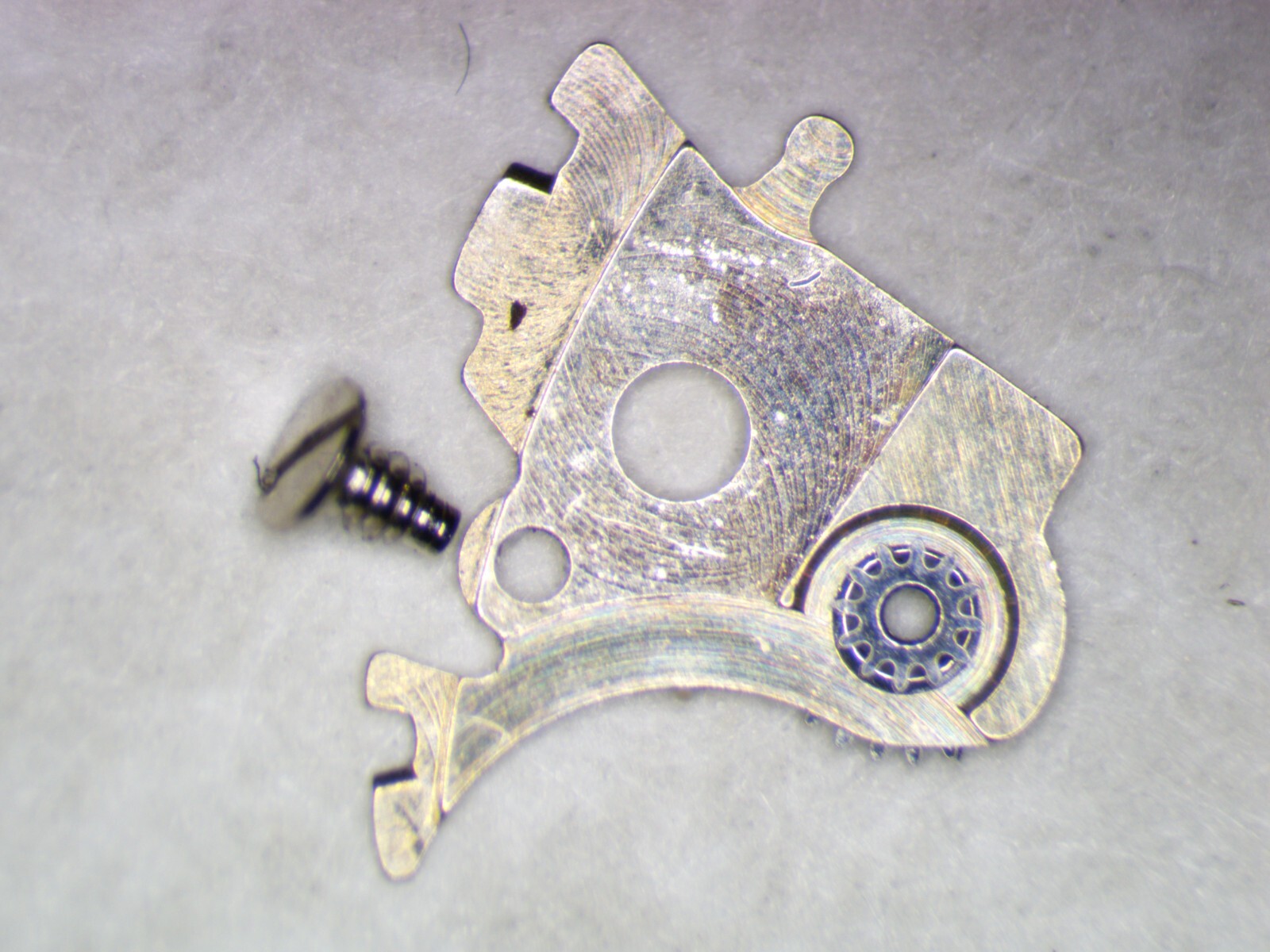ETA 2824-2 2595 Date jumper maintaining plate w/screw Parts, Repair