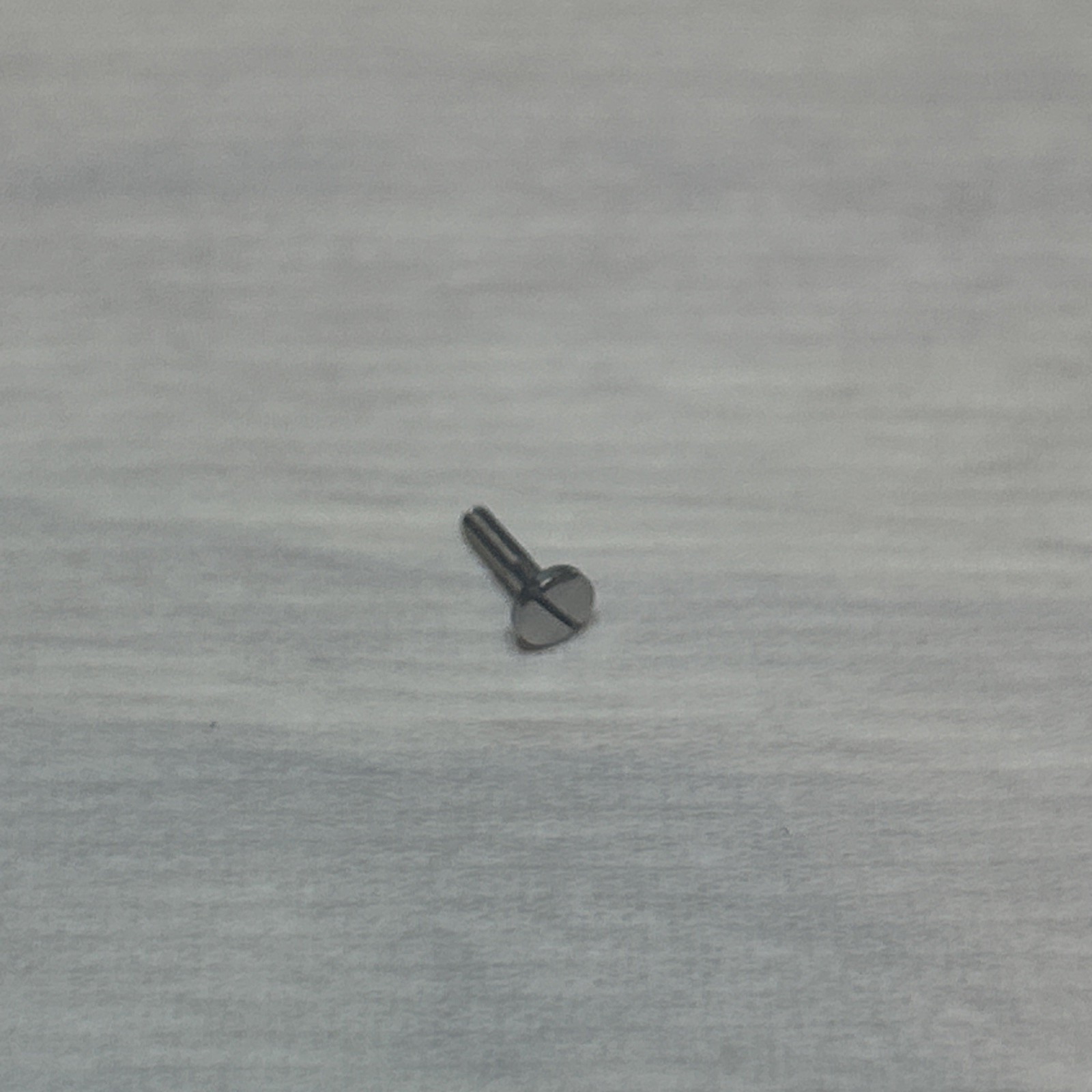 16S HAMILTON CASE SCREW, PART # 393040