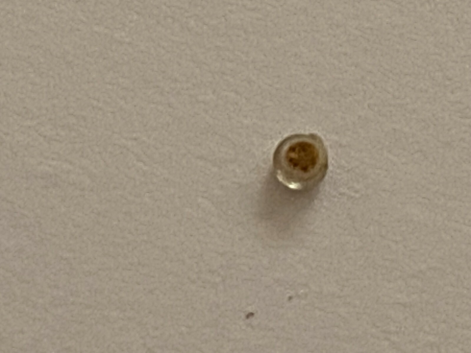 Vintage Luminous Dot For Rolex Submariner Model 5513-1680