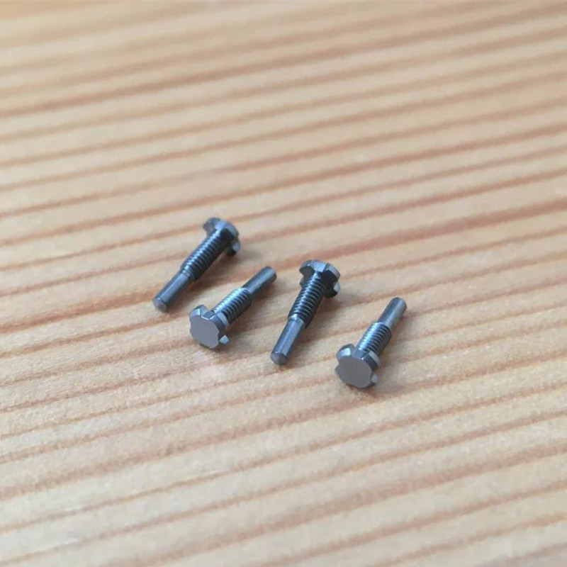 1pcs Titanium 4 Prongs Watch Screw Fits Richard Mille RM005 RM010 07 Band/Bezel